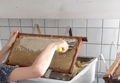 Honigwaben entdeckeln